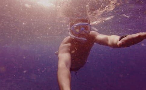 第一次潛水作文(集合)