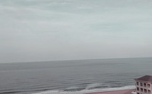 �ػʍu����