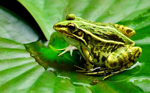 ���o�������ġ���(j��ng)��15ƪ��