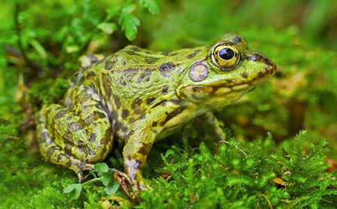 �P(gu��n)�����ܵ�Ъ���Z(y��)