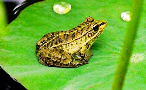 �����T�����o(h��)��������15ƪ