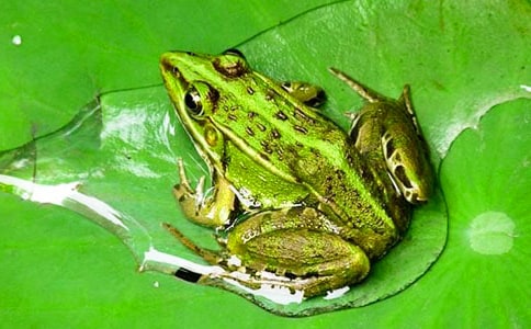 С���ܚv�Uӛ����[15ƪ]