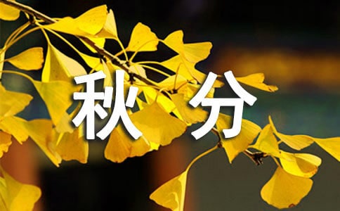 ���ף������