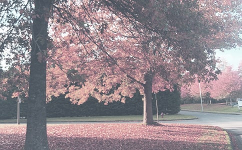 秋季美肌要謹慎 4大問題肌對癥保養(yǎng)術(shù)