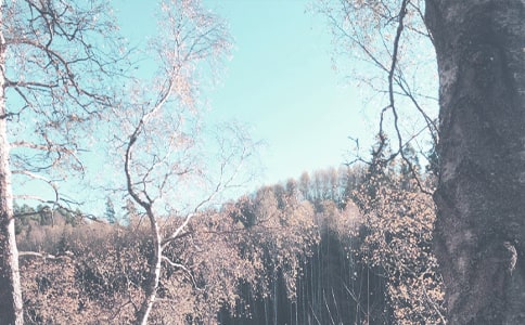 �＾�V��������Щ�����e�^�ľ��c