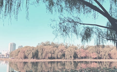 學(xué)前班教學(xué)秋季工作計(jì)劃