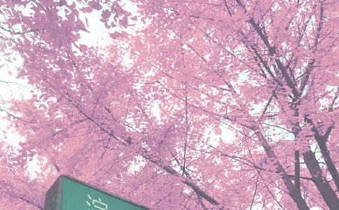 ���P(gu��n)�＾�̌W(xu��)����Ӌ(j��)����ƪ