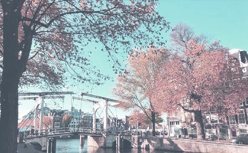 �＾��ĩ���򽛵����