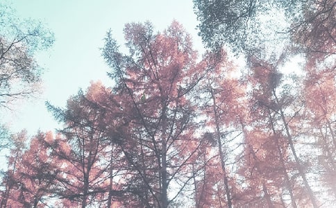 2020���＾�̌W(xu��)�Ĺ���Ӌ�������x3ƪ��