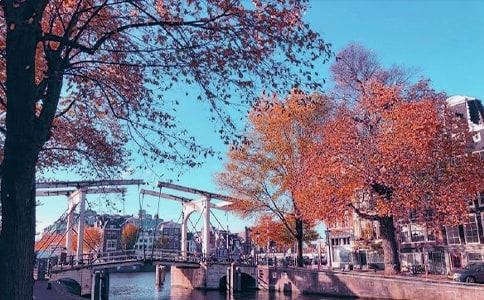 ���պ�������