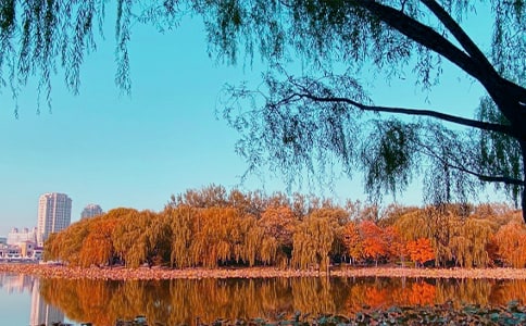 �������x����