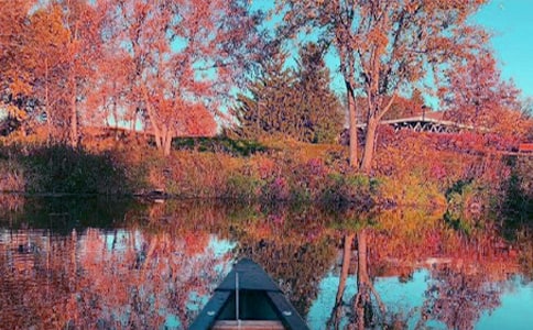 �茑���յ�Ԋ��