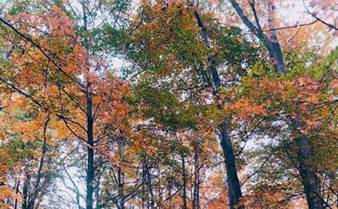 �������Z������