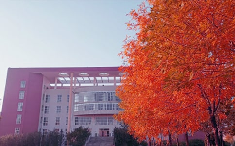 �����S������