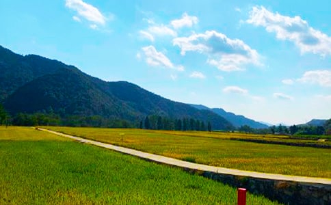 ���յ���Ϣ����(b��o)