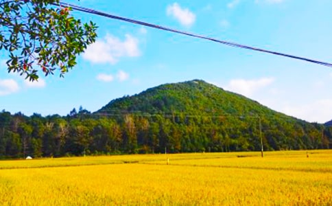 ���յ����ĳ���(15ƪ)