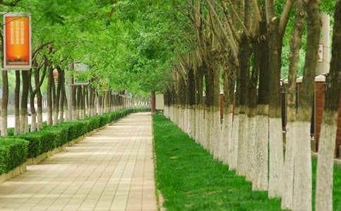 ���е�ͣ܇���η��������x5ƪ��