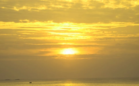 (實用)關(guān)于日出的作文