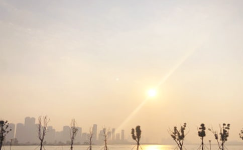 [��]���ճ�����15ƪ