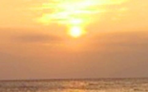 �����S���Ψ������