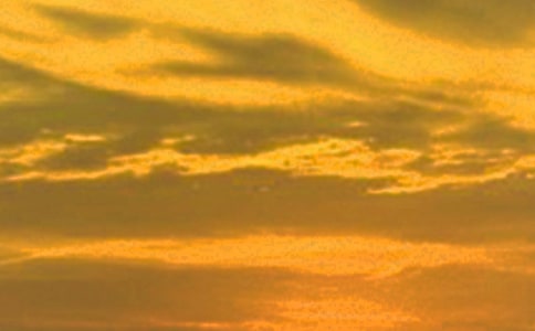 �����T�����������