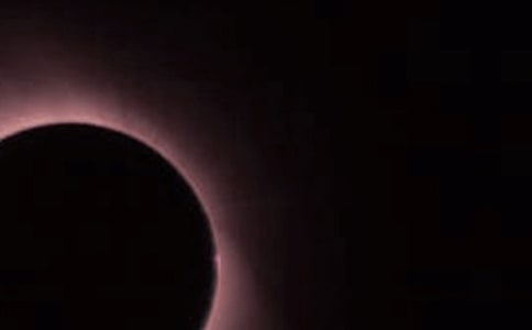 ����ʳ��(y��u)������