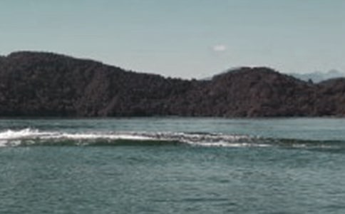 ������̶���̌W��䛹�8ƪ