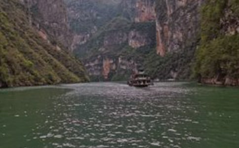 ���{ɢӛ����