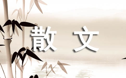 �P(gu��n)���ĵ�ɢ��