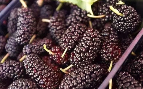 [��(sh��)��]ժɣ������15ƪ