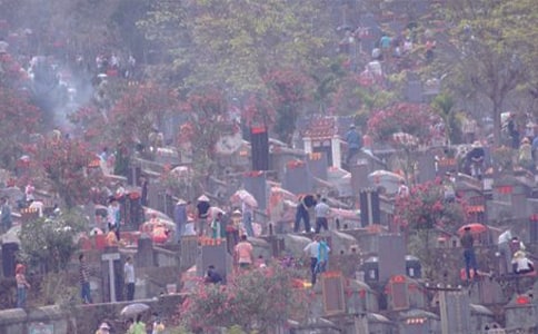 關(guān)于掃墓的作文【常用14篇】