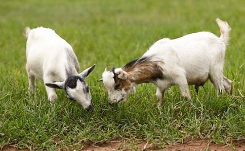 ɽ�򲻳����ò��x���