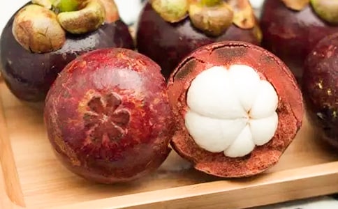 游南山竹海作文(實用)