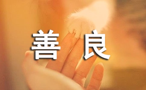 �����������ģ����T��