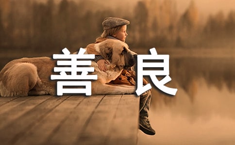 �P(gu��n)����������������