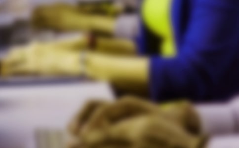 �P(gu��n)���̄�(w��)ף������