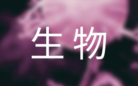 生初二生物《排泄》教案