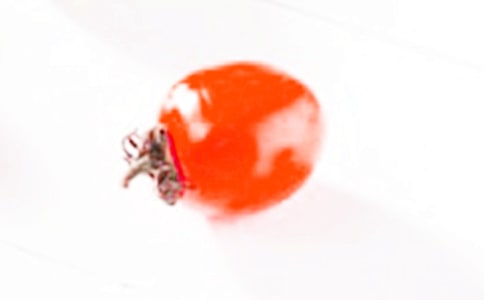 圣女果作文15篇(精)