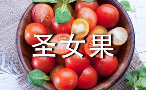 �����ܳ�ʥŮ������������ʥŮ��������