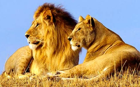 ���{�������^���