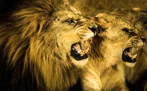 �{��150������