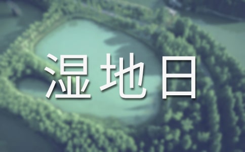 ���������ǎ�����