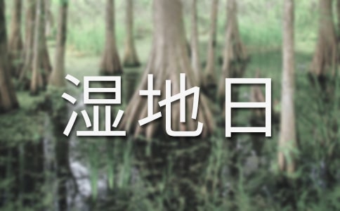 �������ջ�Ӳ߄���