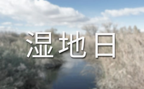 世界濕地日是幾月幾日(日歷)