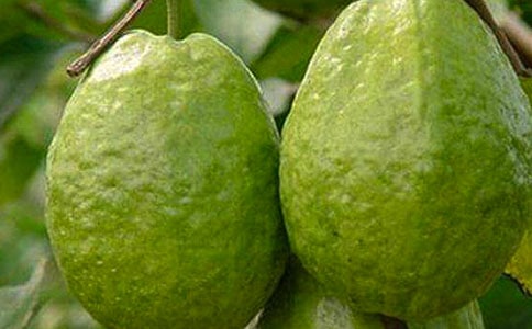 ʯ������ąR����15ƪ��