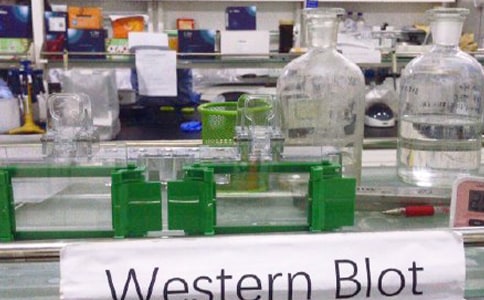 ��(sh��)�(y��n)�Ҍ�(sh��)�(y��n)Ҏ(gu��)�t