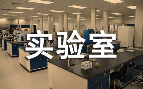 С�W(xu��)����Ұ�ȫ�����ƶ�