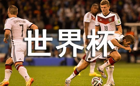 世界杯奪冠之夜作文