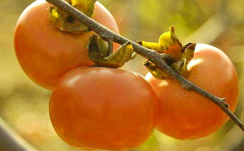 ѩ�����x���1000��