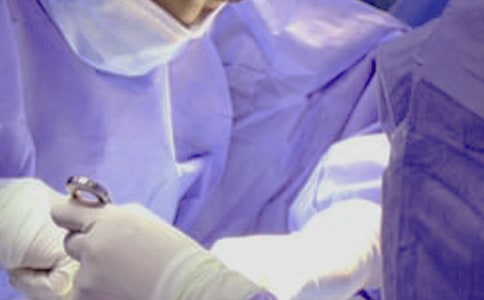 �_�B���g(sh��)�����������